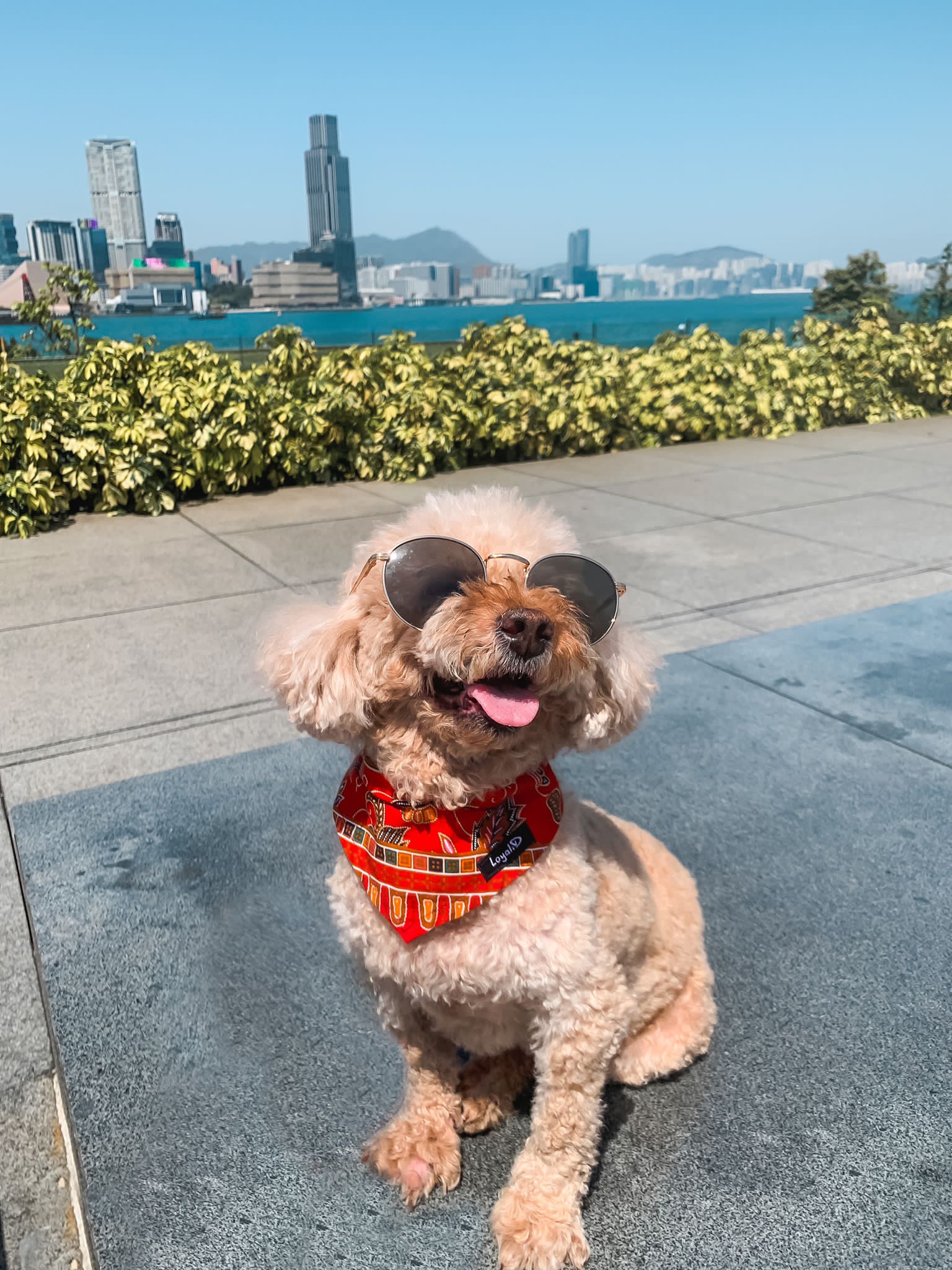 Minky in HK